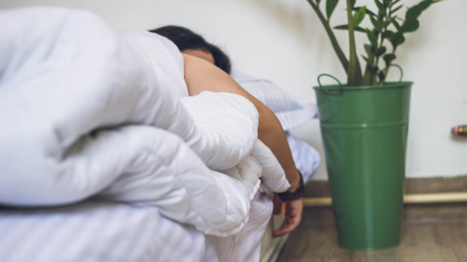 Dormir con plantas NO es malo (y lo dice la NASA)